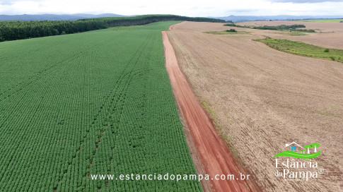 DOS EÓLICOS VIRA P FAZENDA_Moment.00_00_33_22.Quadro135_c89598b1a8d4e61e7ae46d107de8871723244e3c.jpg